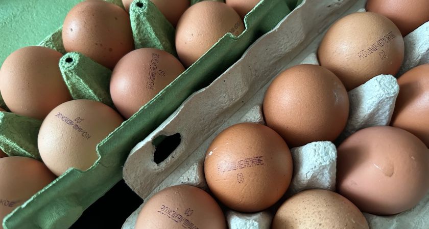 Продукты, которые стоит пересмотреть: что мы едим каждый день и чем их можно заменить Продукты, которые стоит пересмотреть: что мы едим каждый день и чем их можно заменить