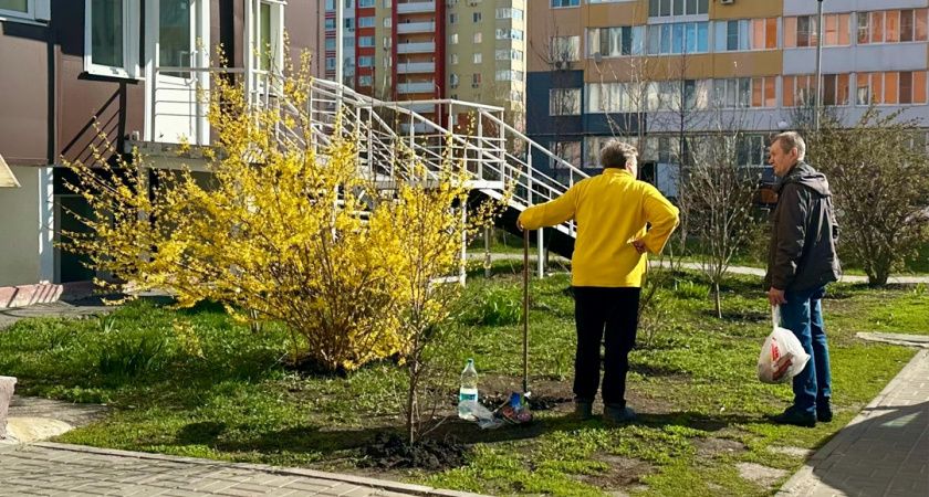 Браслет-страж для пожилых: защита от падений в двухкомнатной квартире Браслет-страж для пожилых: защита от падений в двухкомнатной квартире