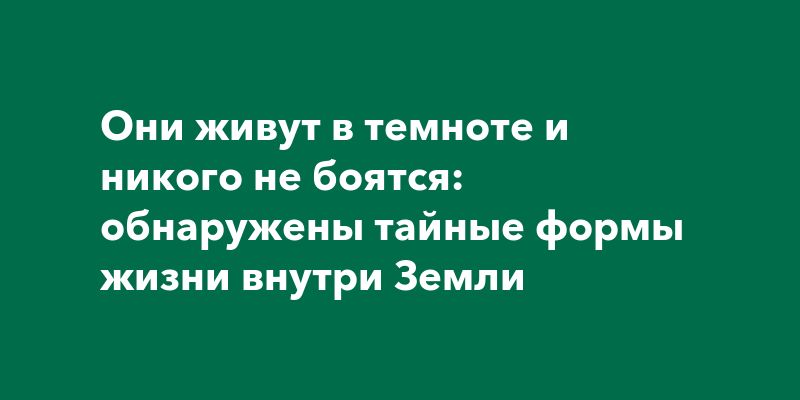 Тайные обитатели Земли: новый взгляд на подземную жизнь Тайные обитатели Земли: новый взгляд на подземную жизнь