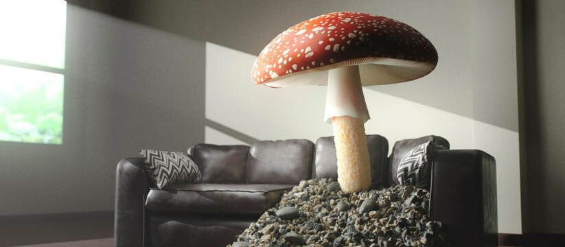 Грибок Aspergillus: тихий убийца в воздухе после COVID Грибок Aspergillus: тихий убийца в воздухе после COVID