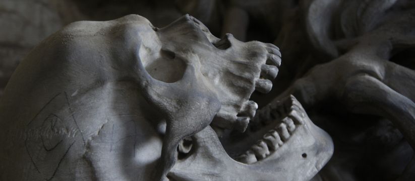 Моцарт вернулся: учёные воссоздали лицо великого композитора Моцарт вернулся: учёные воссоздали лицо великого композитора