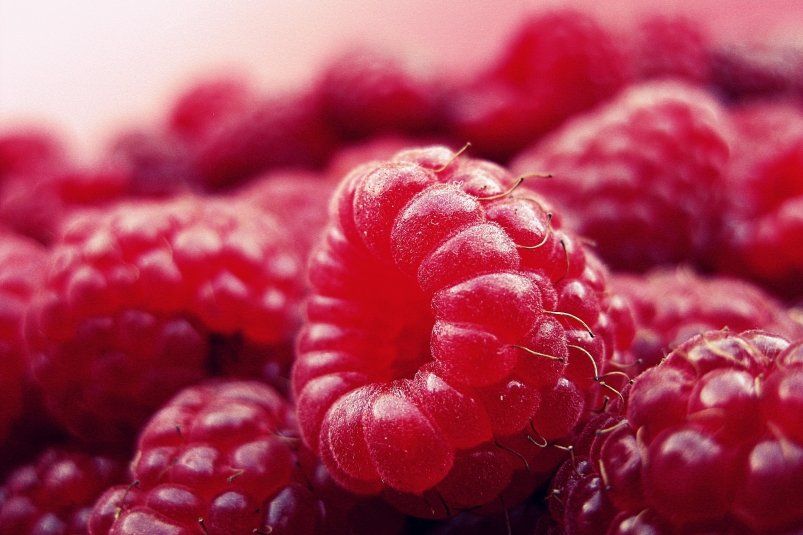 Как спички могут увеличить ваш урожай малины в разы: удивительный дачный лайфхак Как спички могут увеличить ваш урожай малины в разы: удивительный дачный лайфхак