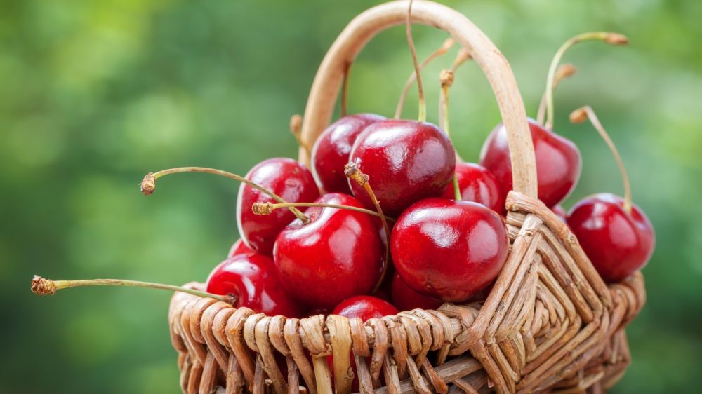 Как выбрать самую вкусную черешню: секрет спелых ягод Как выбрать самую вкусную черешню: секрет спелых ягод