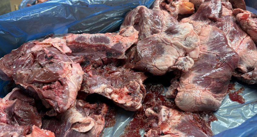 Крольчатина — самое полезное мясо: почему врачи рекомендуют именно её? Крольчатина — самое полезное мясо: почему врачи рекомендуют именно её?