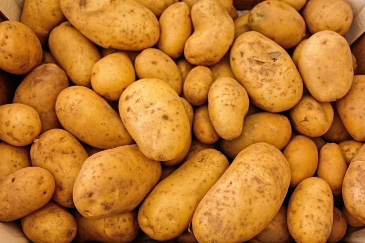 Фаршированный картофель: новые вкусы из знакомого продукта Фаршированный картофель: новые вкусы из знакомого продукта