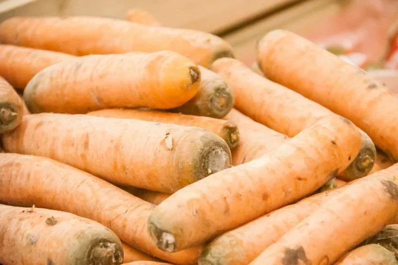Почему морковь выросла жёсткой и невкусной: секреты правильного посева Почему морковь выросла жёсткой и невкусной: секреты правильного посева