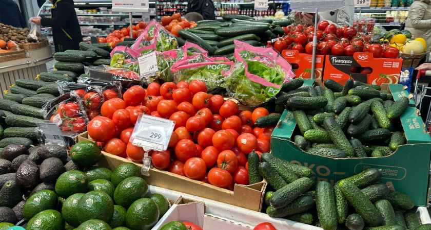 Ревень: польза и риски популярного овоща Ревень: польза и риски популярного овоща