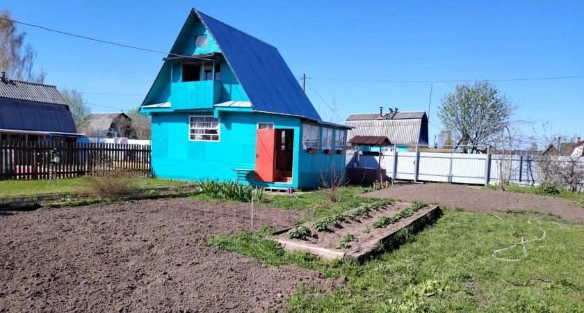 Ковры на грядках: неожиданное решение для вашего огорода Ковры на грядках: неожиданное решение для вашего огорода