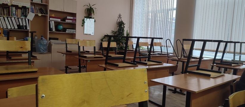 61-летняя экономистша сдала ЕГЭ по математике: её история успеха