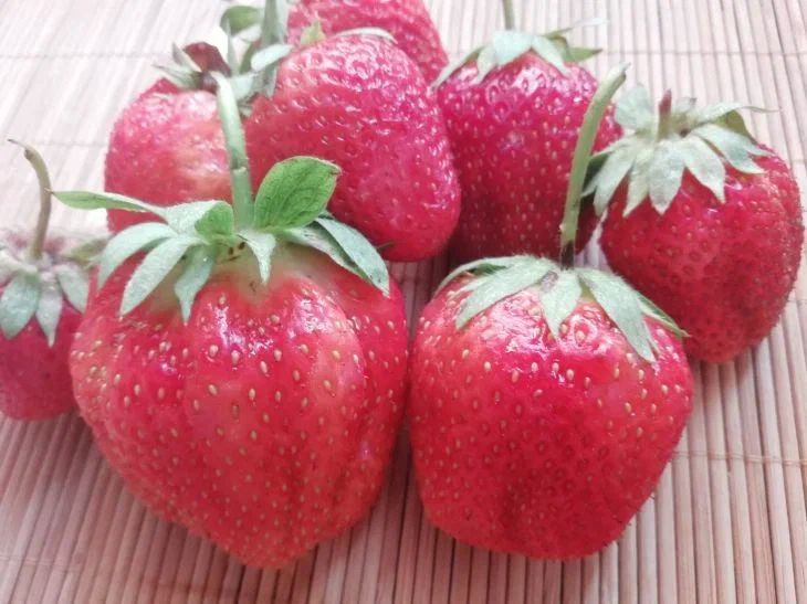 Какие продукты не стоит замораживать: 4 неожиданных примера