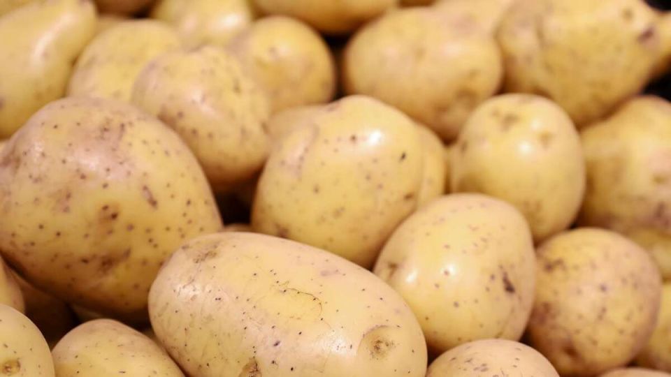 Опасный картофель из Египта: что обнаружили в Новороссийске?