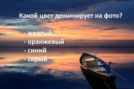    :     