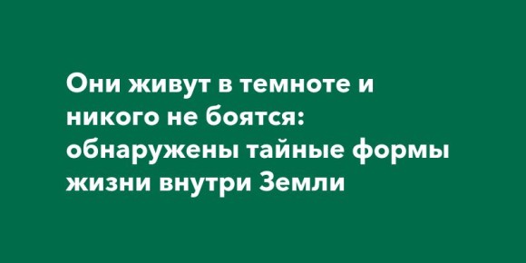   :     