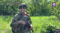 Российские войска стремительно освобождают Новооленовку в ДНР