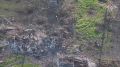 Новоалександровка под контролем: как российские военные провели успешную операцию