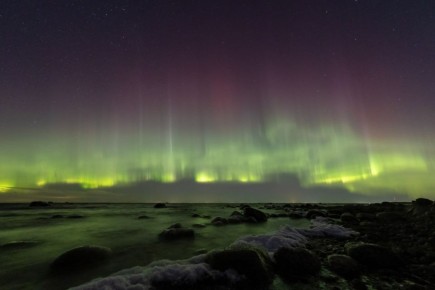 Северное сияние украсило небо над Ленинградской областью минувшей ночью