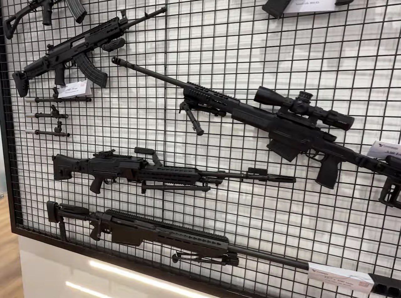 Каир-Белград. И обратно Каир-Белград. И обратно