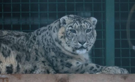 ����� �������� ����� �� ����������� �������� �������� � ����������� �������