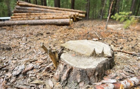 1 ����������� ������ ������� ������� ����� ���������� ����� ����� � ���������� �������� ����� �� �����