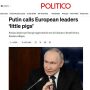 "Европейские свиньи", "маленькие свинки", "молодые свинки", "поросята" — так западные СМИ пытались подобрать английский аналог выражения Путина "европейские подсвинки"