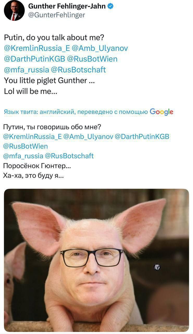 Эдуард Басурин: В Европе началась перекличка подсвинок