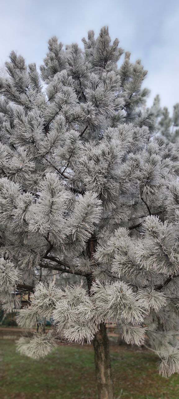 Эдуард Басурин: Погода порадовала. @basurin_e Эдуард Басурин: Погода порадовала. @basurin_e