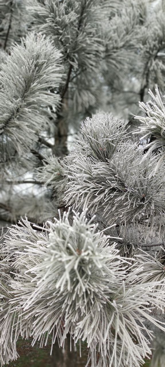 Эдуард Басурин: Погода порадовала. @basurin_e