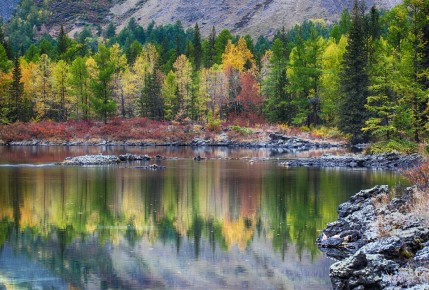 Наказание настигло. Спустя 30 лет