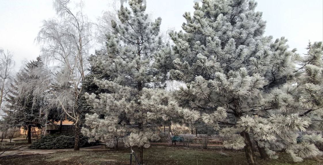 Эдуард Басурин: Погода порадовала. @basurin_e Эдуард Басурин: Погода порадовала. @basurin_e