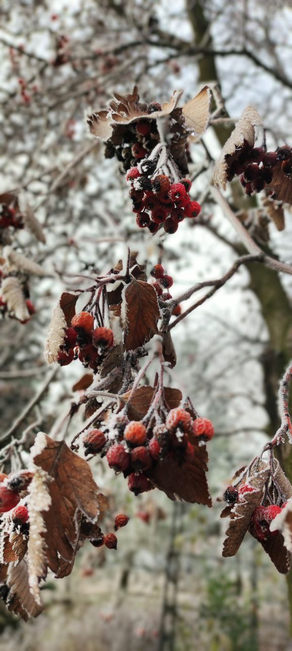 Эдуард Басурин: Погода порадовала. @basurin_e Эдуард Басурин: Погода порадовала. @basurin_e